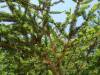 DSC00099.jpg