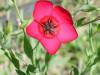 DSC00107.jpg