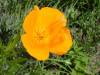DSC00109.jpg