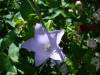 DSC00120.jpg