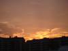 DSC00687.jpg