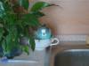 DSC01421.JPG