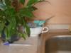 DSC01423.JPG