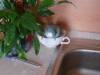 DSC01426.JPG