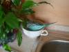 DSC01427.JPG