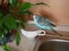 DSC01428.JPG