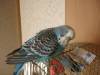 DSC01429.JPG