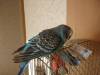 DSC01430.JPG