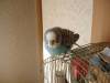 DSC01431.JPG
