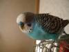 DSC01432.JPG