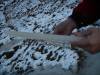 DSC03674.JPG