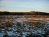 DSC03691.JPG