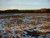DSC03693.JPG