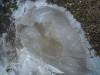 DSC03695.JPG