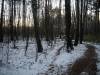 DSC03697.JPG