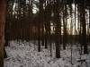 DSC03699.JPG
