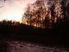 DSC03704.JPG