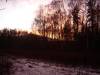 DSC03705.JPG
