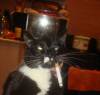 DSC07543_.jpg