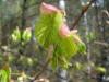 DSC01187.JPG