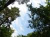 DSC01846.JPG