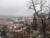 DSC05965_resize.JPG