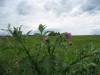 Resize_of_____________480.jpg