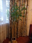 IMG_2017-12-04_120054.jpg