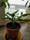 IMG_20190304_101605.jpg