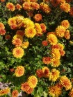 IMG_20190826_134656.jpg