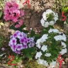 IMG_20190826_135144__01.jpg
