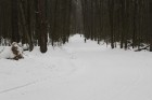 IMG_5808.JPG