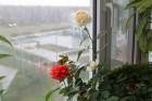 IMG_6377.JPG