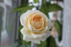 IMG_6380.JPG