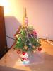 DSCN3427.jpg