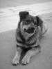 DSC01488_resize.jpg