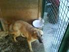 DSC00690.JPG