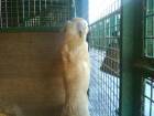 DSC00693.JPG