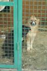 DSC007042.JPG