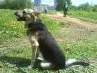 DSC00775.JPG