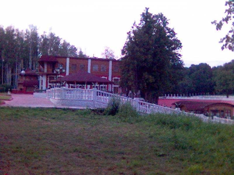 ,     