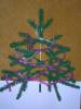 DSCN2532.jpg