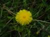 DSC00745-1.JPG