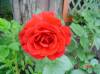 DSC02588-1.JPG