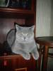 DSC03188-1.JPG