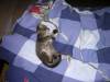 DSCN0202000.JPG