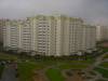 PICT00011~0.JPG