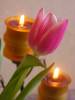 PICT0172.JPG