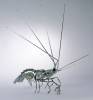scrapyards_sculptures_019.jpg