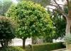 PICT0024.jpg